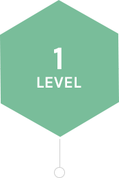 level1