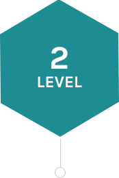 level2