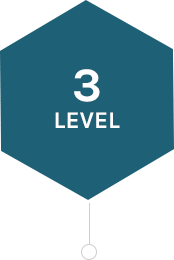 level3